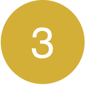 Gold 3 Icon